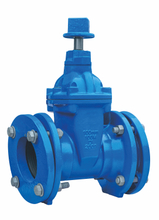 NRS/RS MJXMJ Gate Valve With Double Flange